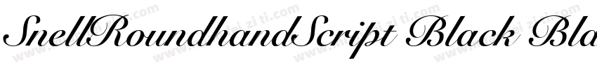 SnellRoundhandScript Black BlackI字体转换